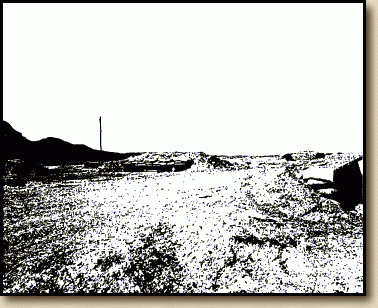 cda_2.gif (17589 bytes)